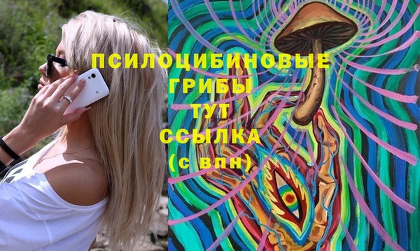 ALPHA PVP Верея
